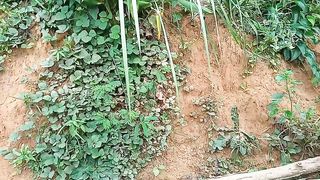 Alam Sekitar Samping dan Pojok Dapur