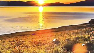 Amazing video