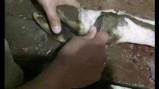 200 Kg SIRI PAYE Recipe | Pakistani Street Food