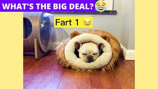 What is the big deal?
