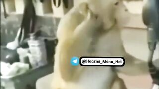 Comedy funny videos ????