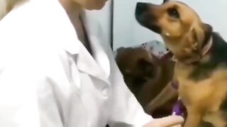 Comedy funny videos ????