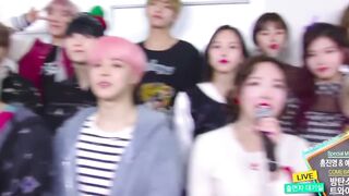 don't put bts & twice in the same room