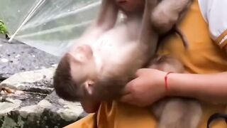 Cute Monkeys Playing With Women