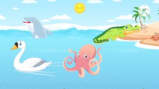 Fish drogin  don catt funny videos