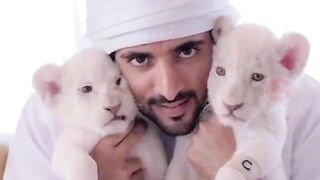 Shaikh Hamdan