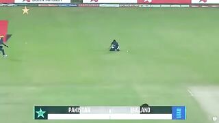 Cricket