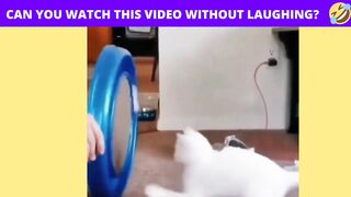 CAN YOU WATCH THIS VIDEO WITHOUT LAUGHING..!