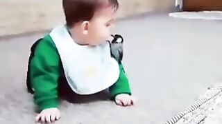 Cute Baby vs Bird's Baby love ❤️ with Bird
