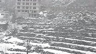 Snowfalls
