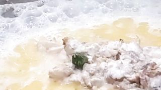 White Boneless Chicken - Street Food