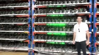 Bitcoin mining farm with 1200 Bitcoin miners #bitcoin #btc #bitcoinmining
