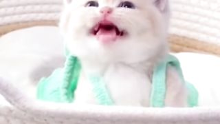 Smile with cute things