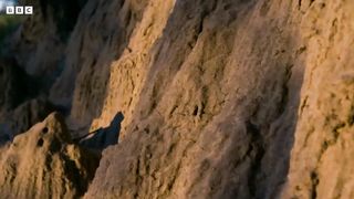 Inside A Termite Fortress | Seasonal Wonderlands | BBC Earth
