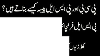 Psl business model franchise income profit and loss