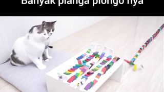 Bekerjasama