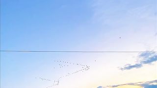 All about the sky