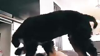 Funny video. Must Watch