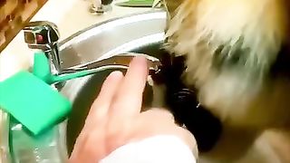 Big Cat. Must Watch