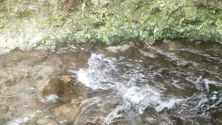 The water flows in a very clear mountain valley