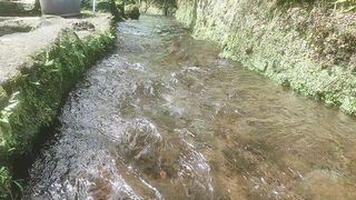 Clear flowing water in the springs of the waterfall mountains in Indonesia
