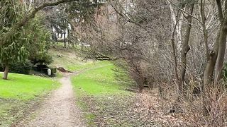 "Nature's Embrace: Urban Landscapes in Harmony"