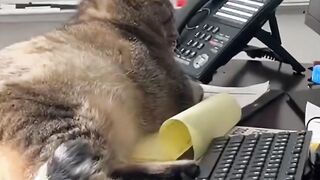 And don't call here anymore.