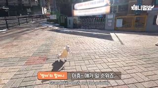 Dog’s Reaction To Her Pupsonal Wheelchair