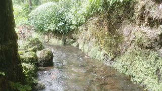 The water flows from a clear and beautiful mountain spring in Indonesia