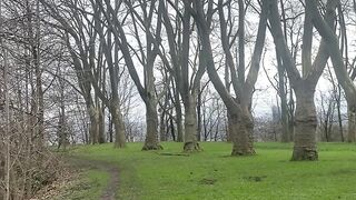 "Cityscape and Wilderness: The Urban-Nature Balance"