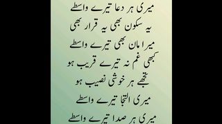 یہ منزلیں یہ راستے میری ہر دعا تیرے واسطے
