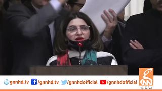 PTI Exposed Election Rigging _ Exclusive Report For International Media_ PTI Press Conference _ GNN.