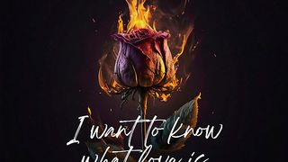 I want to know what love is (House) · Nayo Music