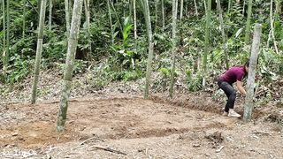 How to build bamboo house for buffalo