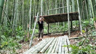 Build bamboo house stilt in forest with girl