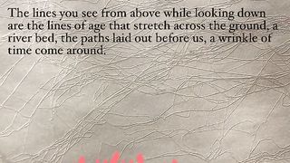 The Lines You See