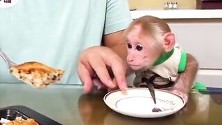 A smart monkey eats with a fork