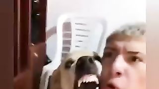 Dog rapping funny