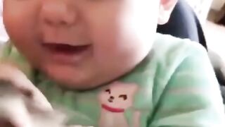 Funny babies wanna play with cat