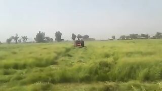 Rhodes grass cutting and beling all process in this video viral