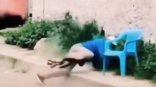 Funny videos