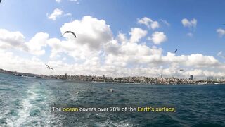 Ocean Facts