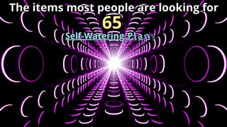 The items most people are looking for