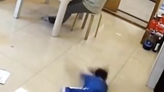 Funny animal video