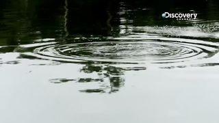 Hunting for a Giant Arapaima | Jakub Vagner: Big Fish Man