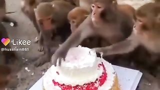 ????????????????????????????