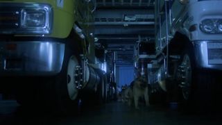 Pink Floyd - The Dogs Of War - Delicate Sound Of Thunder