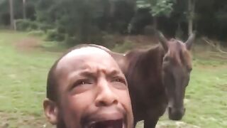 Funny videos