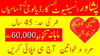 peshawar institute of cardiology jobs