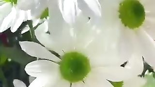 سورۃالبیّنه¹????